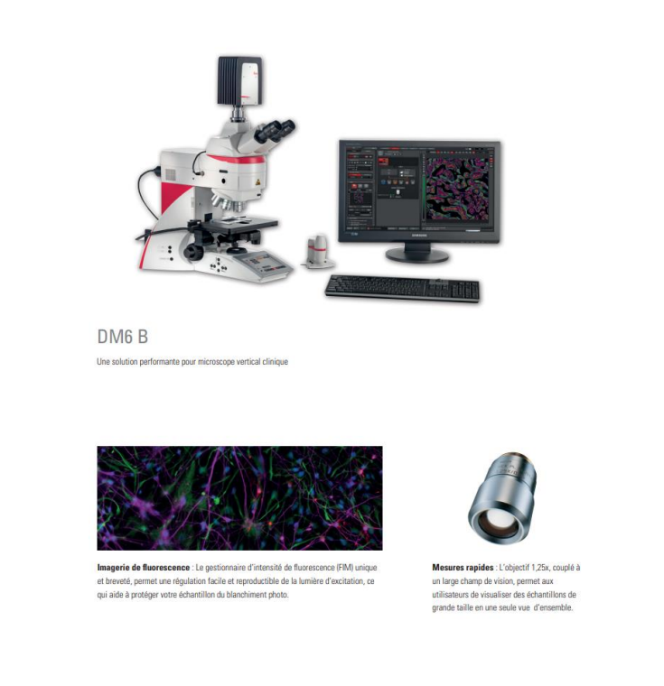 Microscopes à fluorescence non motorisé + caméra