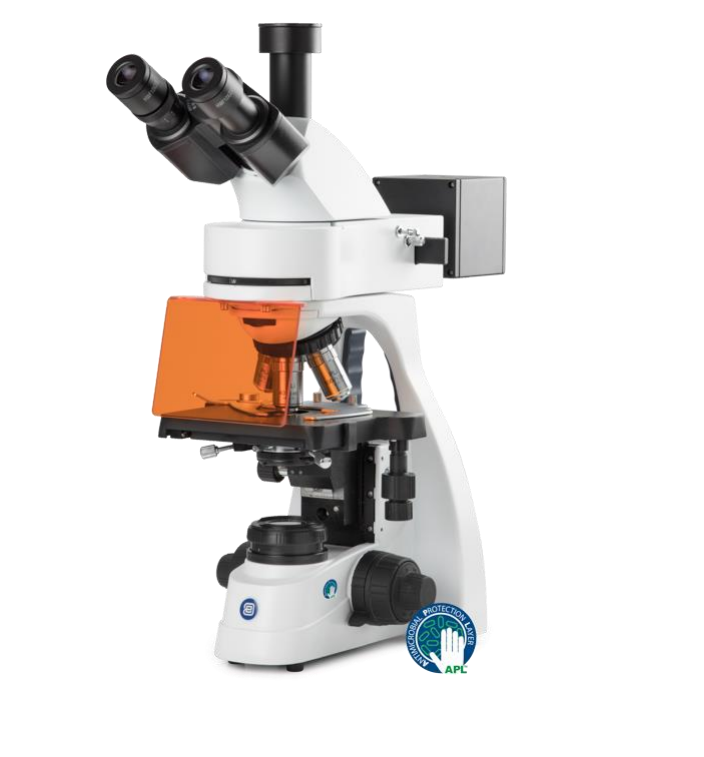 Microscopes à fluorescence non motorisé + caméra